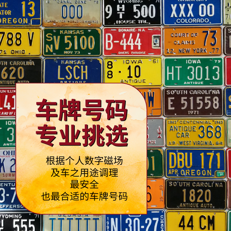 车牌号码专业挑选 thumbnail